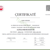 ALPHA WEB BUXHETOR, WEBINAR-NIVEL BAZE - Image 9