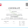 ELIF ENTERPRISE,WEBINAR-NIVEL BAZE - Image 6