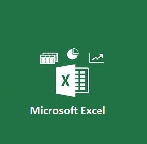 Microsoft Excel