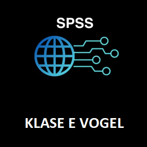 SPSS- KLASE E VOGEL
